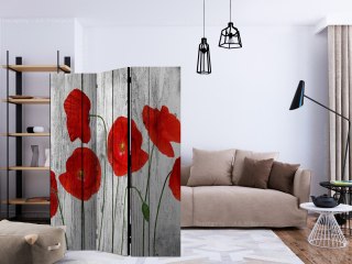 Parawan 3-częściowy - Opowieść czerwonych maków