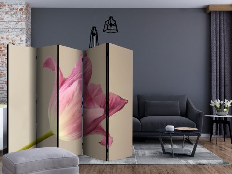 Parawan 5-częściowy - Pink tulip II Parawan 5-częściowy - Pink tulip II