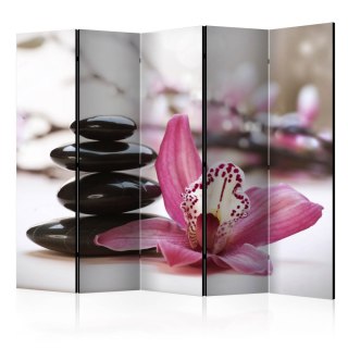 Parawan 5-częściowy - Relaxation and Wellness II