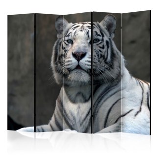 Parawan 5-częściowy - Tygrys bengalski w zoo II