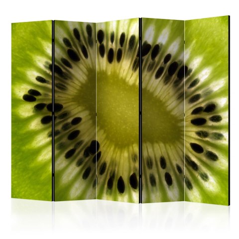 Parawan 5-częściowy - owoce: kiwi II