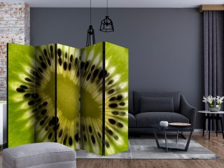 Parawan 5-częściowy - owoce: kiwi II