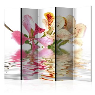 Parawan 5-częściowy - Kwiaty tropikalne - drzewo storczykowe (bauhinia) II