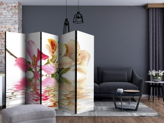 Parawan 5-częściowy - Kwiaty tropikalne - drzewo storczykowe (bauhinia) II