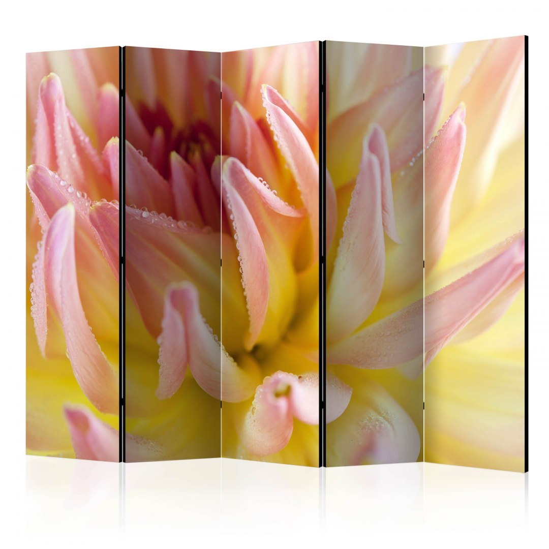 Parawan 5-częściowy - Pastelowa dalia z kroplami rosy II Parawan 5-częściowy - Pastelowa dalia z kroplami rosy II
