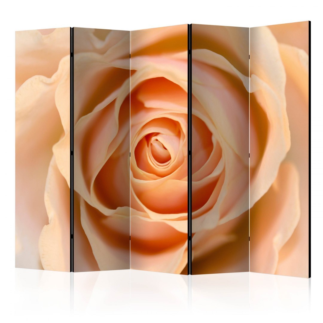Parawan 5-częściowy - Peach-colored rose II Parawan 5-częściowy - Peach-colored rose II