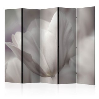 Parawan 5-częściowy - Tulip - black and white photo II