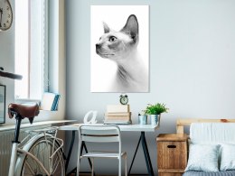 Obraz - Bezwłosy kot (1-częściowy) pionowy