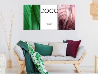 Obraz 3-częściowy - Coco