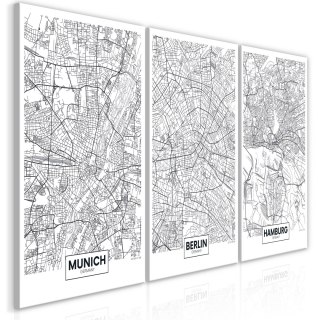 OBRAZ NA ŚCIANĘ DO SALONU, 60 x 30 cm, 3 CZĘŚCIOWY -