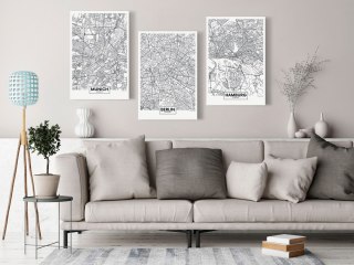 OBRAZ NA ŚCIANĘ DO SALONU, 60 x 30 cm, 3 CZĘŚCIOWY -