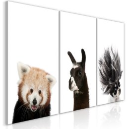 Obraz - Przyjazne zwierzęta (kolekcja)