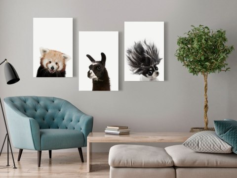 OBRAZ NA ŚCIANĘ DO SALONU, 60 x 30 cm, 3 CZĘŚCIOWY - Przyjazne zwierzęta (kolekcja) OBRAZ NA ŚCIANĘ DO SALONU, 60 x 30 cm, 3 CZĘŚCIOWY - Przyjazne zwierzęta (kolekcja)