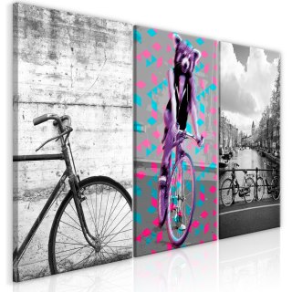 OBRAZ NA ŚCIANĘ DO SALONU, 60 x 30 cm, 3 CZĘŚCIOWY - Rowery, Zabawny
