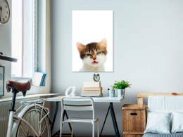 Obraz - Zirytowany kot (1-częściowy) pionowy