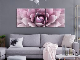 Obraz - Agawa (5-częściowy) wąski różowy