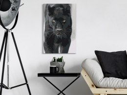 Obraz do samodzielnego malowania - Czarna pantera