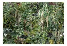 Fototapeta - Bogactwo dżungli