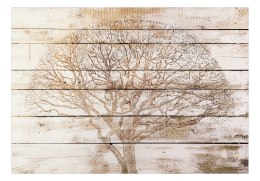 Fototapeta - Drzewo na deskach