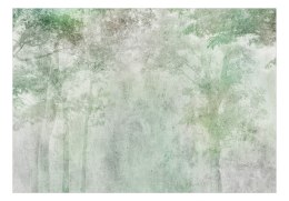 Fototapeta - Leśne ukojenie - pierwszy wariant
