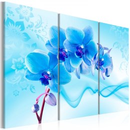 Obraz - Eteryczna orchidea - błękit