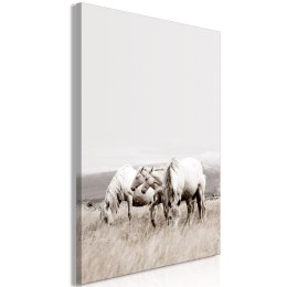 Obraz - Białe konie (1-częściowy) pionowy