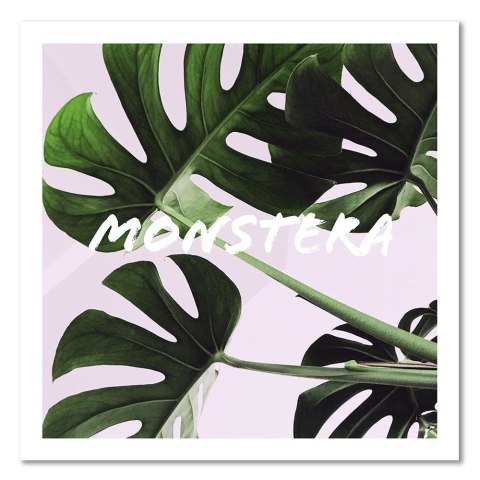 Obraz na płótnie - Egzotyczne liście Monstera Obraz na płótnie - Egzotyczne liście Monstera