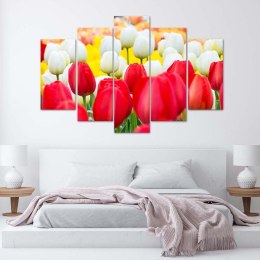 Obraz 5 częściowy na płótnie 100 x 70 cm - Białe i czerwone tulipany