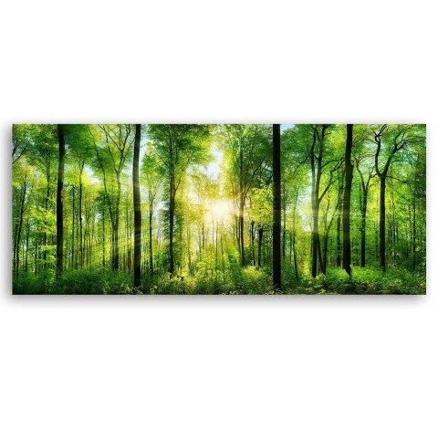 Obraz na płótnie - Promienie słońca w lesie natura zielony Obraz na płótnie - Promienie słońca w lesie natura zielony