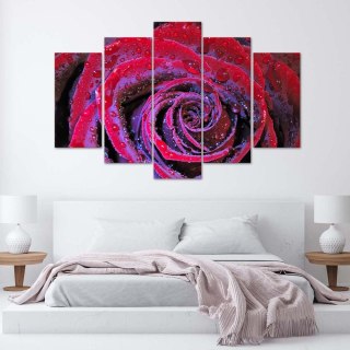 Obraz 5 częściowy na płótnie 100 x 70 cm - Zroszona róża