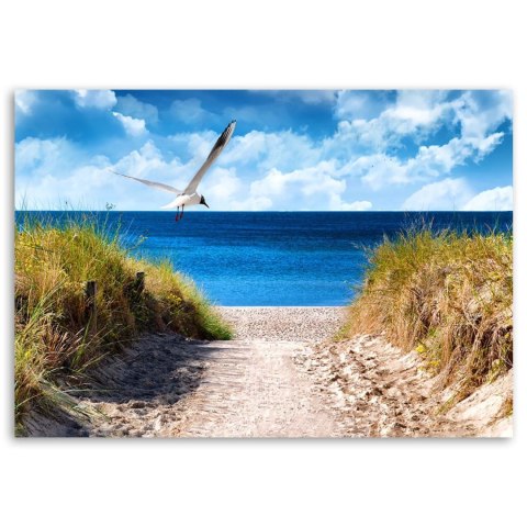 Obraz na płótnie - Ścieżka na plażę i mewa Obraz na płótnie - Ścieżka na plażę i mewa
