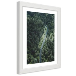 Plakat w białej ramie - Droga w lesie