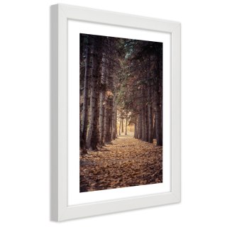 Plakat w białej ramie - Las jesienią