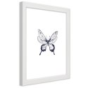 Plakat w białej ramie - Narysowany motyl