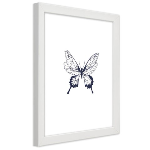 Plakat w białej ramie - Narysowany motyl