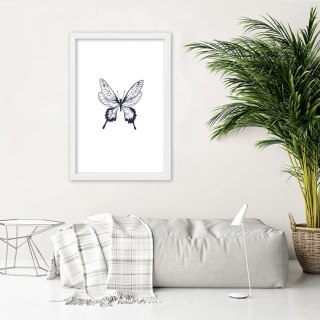 Plakat w białej ramie - Narysowany motyl