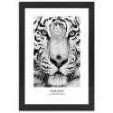 Plakat w czarnej ramie - Biały tygrys