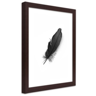 Plakat w brązowej ramie - Czarne piórko