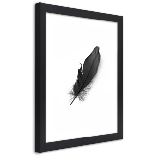 Plakat w czarnej ramie - Czarne piórko