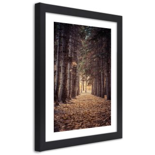 Plakat w czarnej ramie - Las jesienią