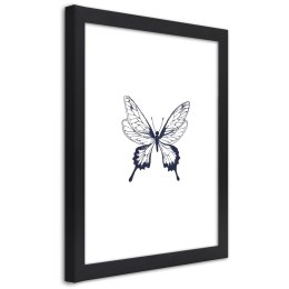 Plakat w czarnej ramie - Narysowany motyl