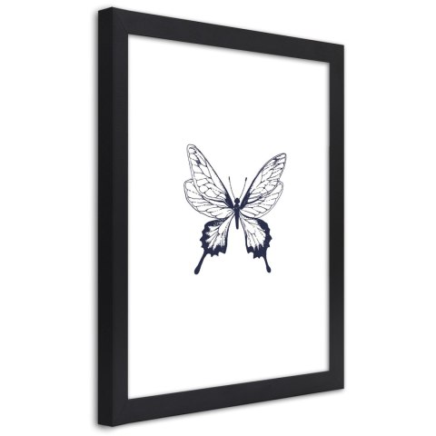 Plakat w czarnej ramie - Narysowany motyl