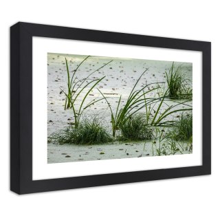 Plakat w czarnej ramie - Trawy na plaży