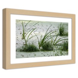 Plakat w drewnianej ramie - Trawy na plaży