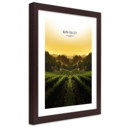 Plakat w brązowej ramie - Winnice w Napa Vallley