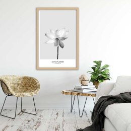 Plakat w drewnianej ramie - Biały kwiat lotosu