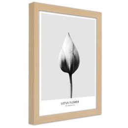 Plakat w drewnianej ramie - Biały pączek lotosu