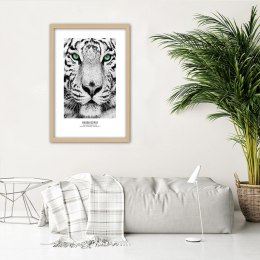 Plakat w drewnianej ramie - Biały tygrys