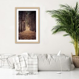 Plakat w drewnianej ramie - Las jesienią