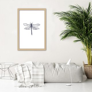 Plakat w drewnianej ramie - Narysowana ważka